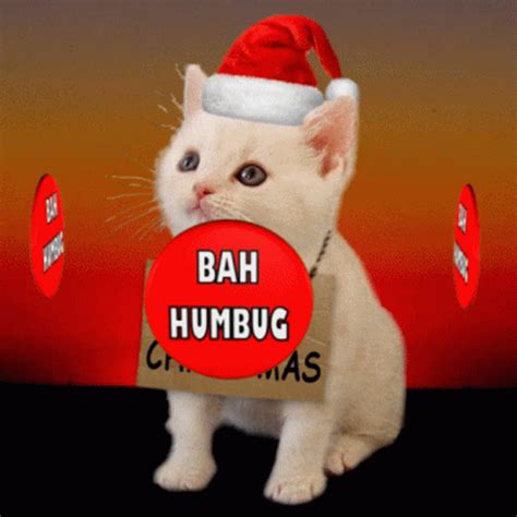 Bah Humbug I Hate Christmas GIF - Bah Humbug I Hate Christmas I Dont ...