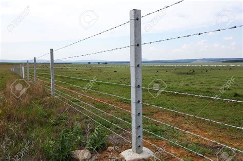 Farm fence with concrete fencing posts and barbed wire strands – Artofit