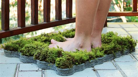 MOSS CARPET :: Behance