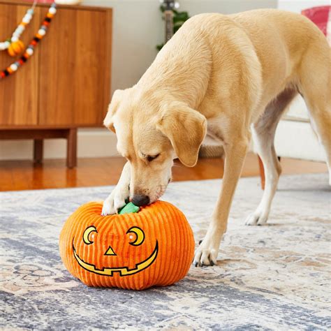 FRISCO Halloween Jack-o-Lantern Plush Squeaky Dog Toy, Jumbo - Chewy.com