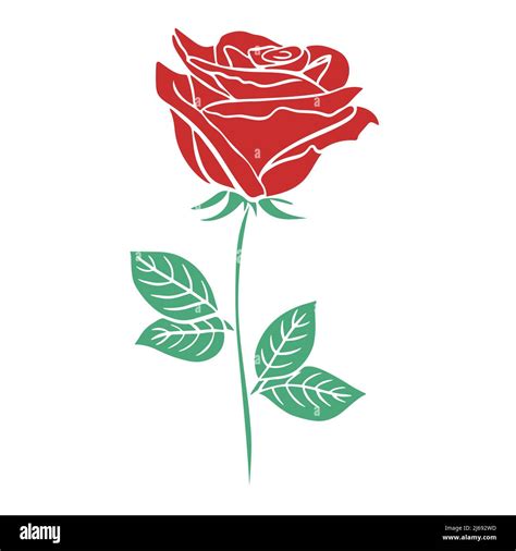 Red rose stencil drawing vector illustration Stock Vector Image & Art ...