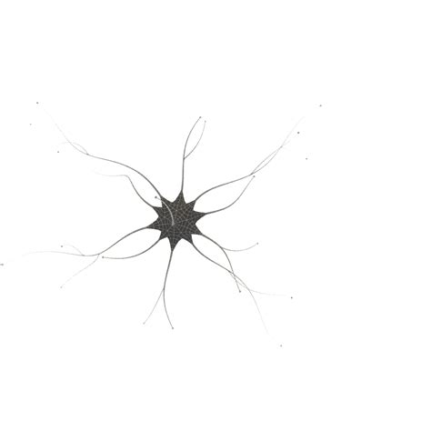 neuron cell animation ready 3d model