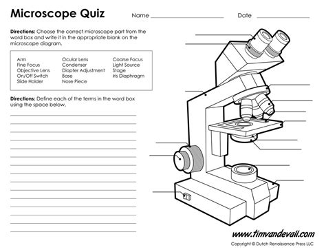 Parts Of A Compound Light Microscope Worksheet