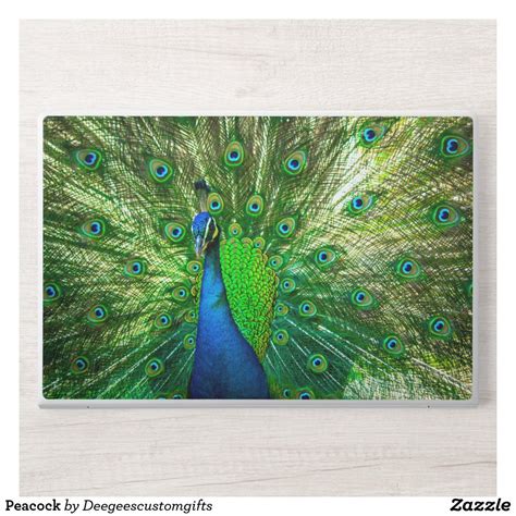 Peacock HP Laptop Skin | Zazzle.com | Hp laptop skin, Laptop skin, Custom laptop skin