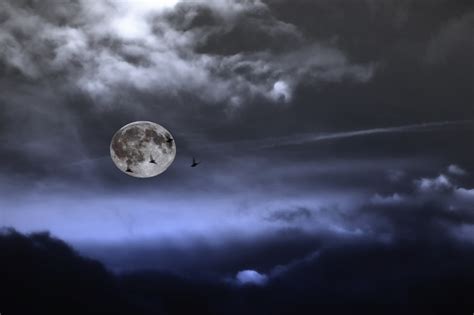 Free Images : light, cloud, sky, night, sunlight, spring, shadow, darkness, full moon, moonlight ...