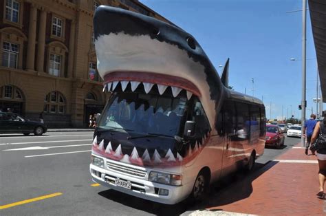 Shark Bus | Kids ride on, Shark, Shark pictures