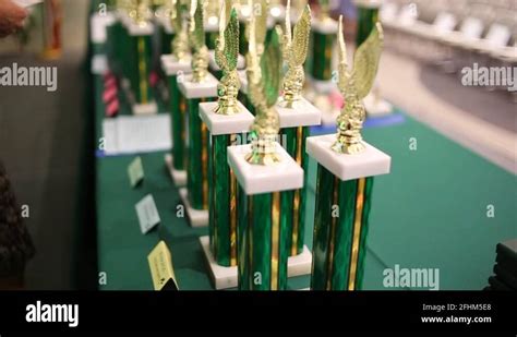 Kids with trophies Stock Videos & Footage - HD and 4K Video Clips - Alamy