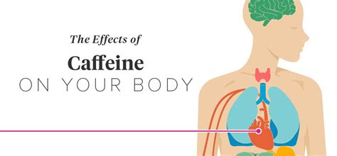 The Effects of Caffeine on Your Body