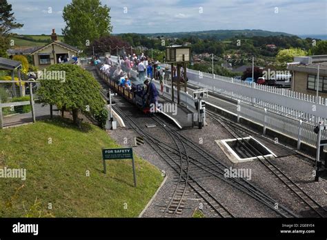 Pecorama Beer Heights Light Railway in Beer Devon England UK Stock Photo - Alamy