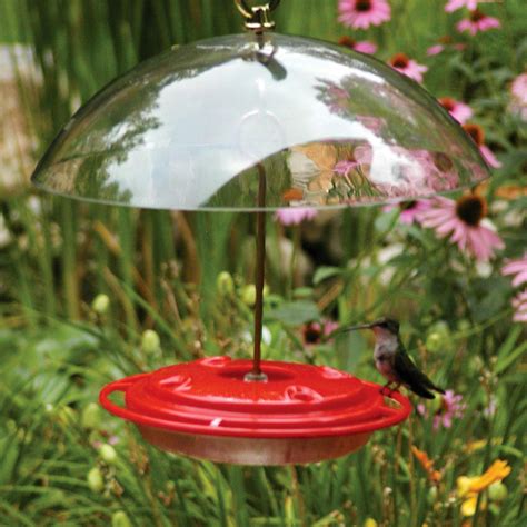 8 oz. Hummingbird Feeder with Dome | DFOHome