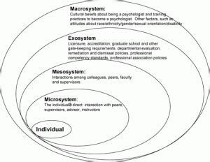 Micro, Mezzo, Macro….. Oh my! | Social work practice, Social work exam ...