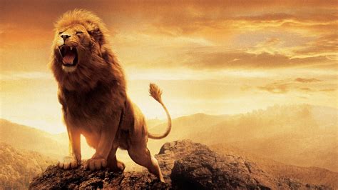 Narnia Lion Aslan Wallpapers | HD Wallpapers | ID #15038