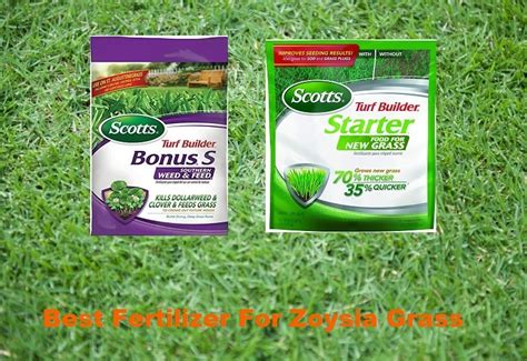 Best Fertilizer For Zoysia Grass Reviews 2021 | Easygearlife