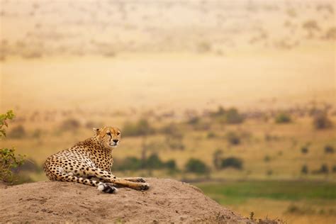 Masai Mara Hotels | Trailfinders