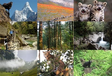 Wildlife Sanctuaries and National Parks in Himachal Pradesh - Holiday ...