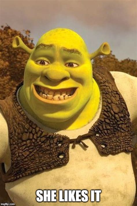 smiling shrek Memes & GIFs - Imgflip