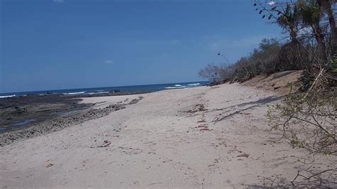 THE 15 BEST Things to Do in Tamarindo - 2022 (with Photos) - Tripadvisor