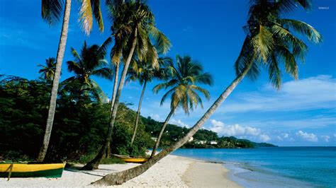 Grand Anse Beach wallpaper - Beach wallpapers - #7400