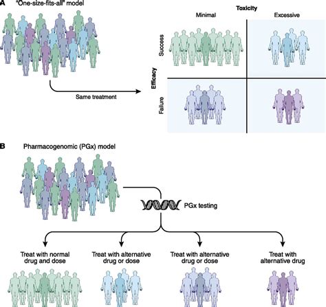 Clinical Pharmacogenomics: Applications in Nephrology : Clinical ...