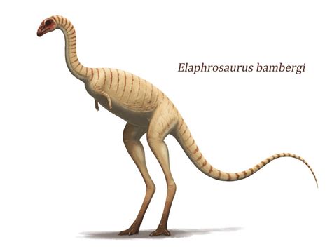 Elaphrosaurus by Y-Forest on DeviantArt