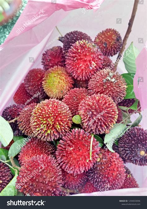 Closeup Pulasan Fruit Stock Photo 1294033096 | Shutterstock