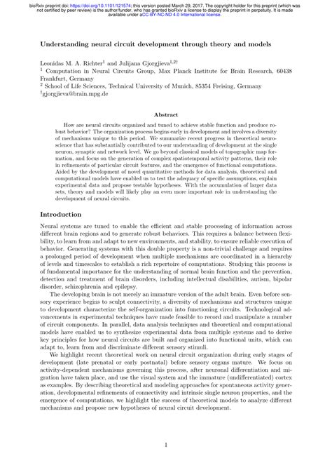 (PDF) Understanding Neural Circuit Development Through Theory And Models