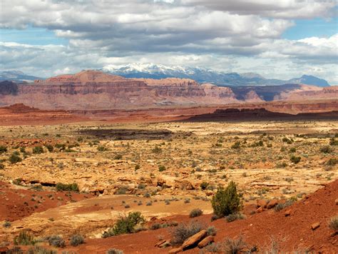 Walking Arizona: The Henry Mountains of Utah