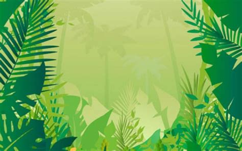 vector jungle - Recherche Google | Jungle pictures, Jungle art, Jungle wallpaper