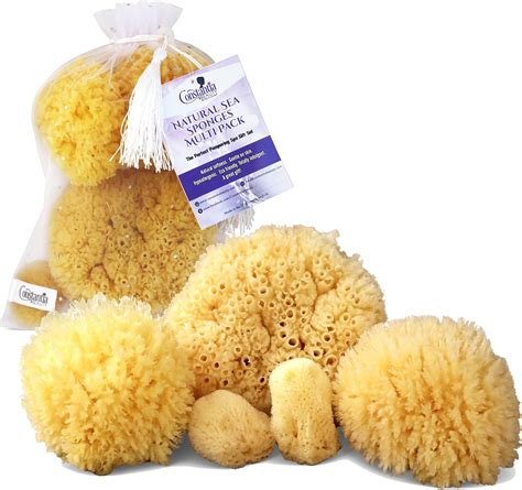 Natural Sea Sponges for Bathing – 5PC Multi Pack Spa Gift Set, Gentle ...