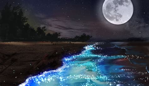 artwork, Moon, Sky, Stars, Forest, Water, Clouds, Beach, Landscape Wallpapers HD / Desktop and ...