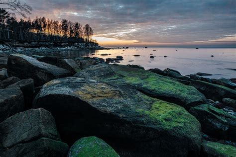 nature photography tours tallinn Archives - Capture Estonia Nature and ...