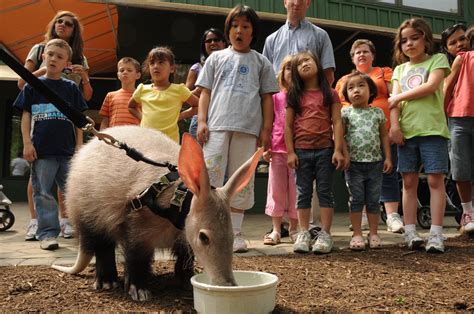 Education Archives - Cincinnati Zoo & Botanical Garden®