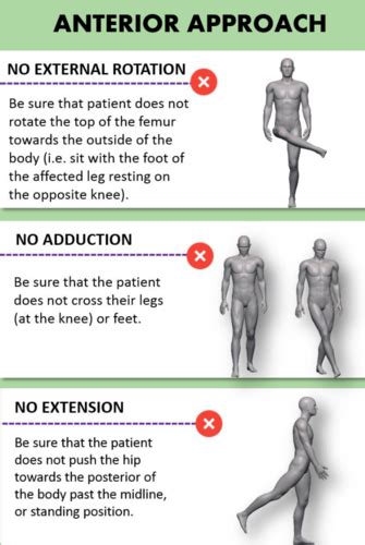 Hip Replacement Precautions and Weight Bearing Precautions Flashcards | Quizlet