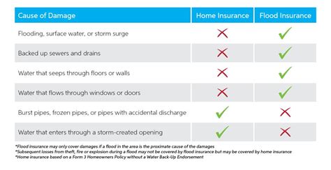 Storm Damage & Homeowners Insurance: 5 Things You Need to Know