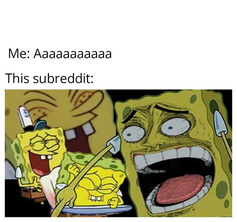 Aaaaaaaaaaaaaaaa : r/AAAAAAAAAAAAAAAAA