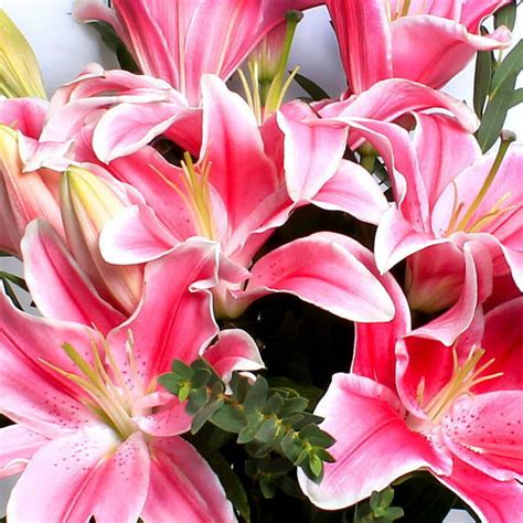 Pink Lily Bouquet | Floral Creations London | Local Flower Delivery