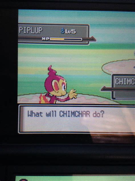 [4] Shiny Chimchar in under 30 SRs!! : r/ShinyPokemon