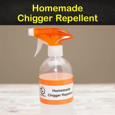 7+ Do-It-Yourself Chigger Repellent Recipes