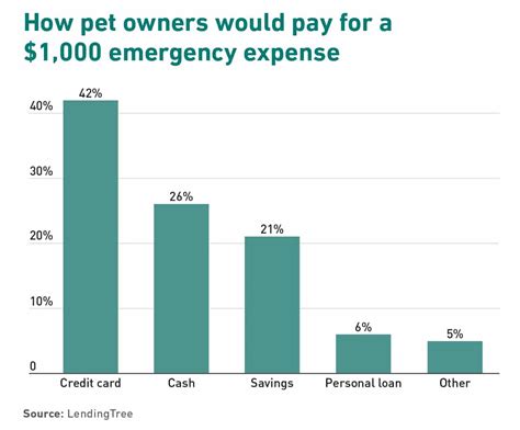 Covering the Cost of Pet Debt | Vet Advantage