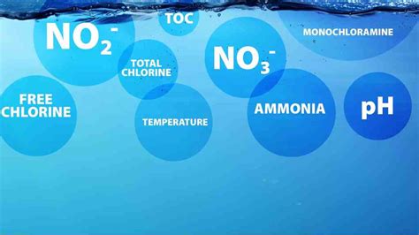 Nitrite I NO2 Analyzers & Sensors I Real Tech Water