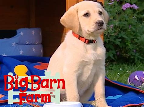 Watch Big Barn Farm | Prime Video