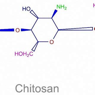 Chemical structure of chitosan. | Download Scientific Diagram