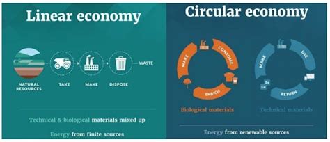 What is the linear economy and why do we need to go circular?