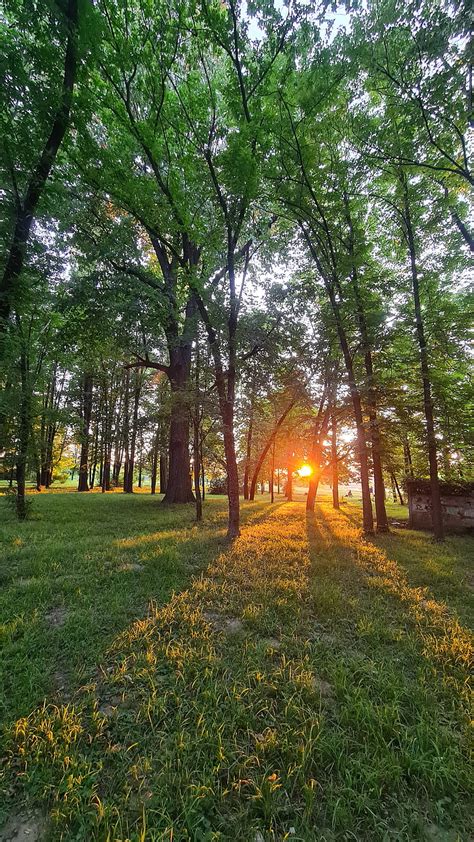 4K free download | Park Onesti Romania, forest, green, orange sunset, romania park, sunset, HD ...
