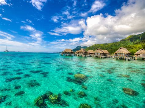 Tahiti: Recipes and Cuisine | Whats4eats
