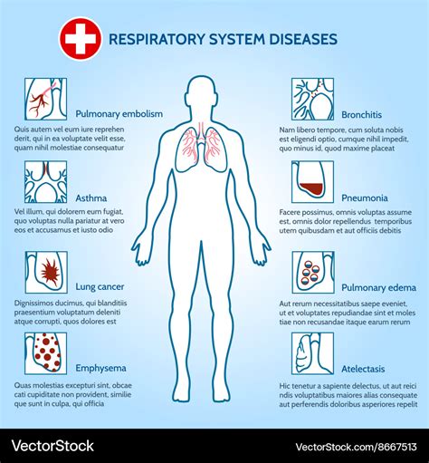 Respiratory system diseases Royalty Free Vector Image