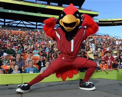 Who Has The Best Mascot In The NFL - Gallery | eBaum's World