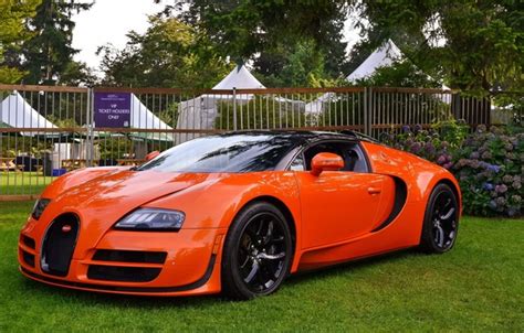 Wallpaper veyron, bugatti, orange, vitesse images for desktop, section bugatti - download