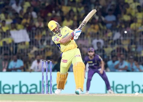Will MS Dhoni play in IPL 2024? CSK CEO provides major update