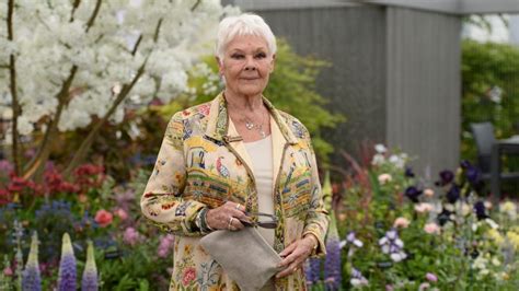 Judi Dench's description of her 'Cats' costume is unfiltered gold